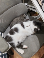 Đạt Huỳnh Quốc