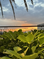 NHÀ ĐẤT AN GIANG