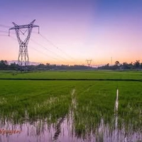 Mỹ Tiên