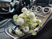 Ap Store 444 tô hiệu