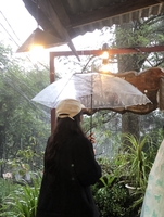 Yến Nguyễn