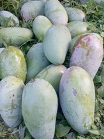 Mỹ Phượng
