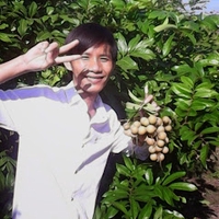 Phan Hoài Lâm