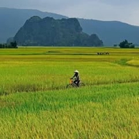 Tiến Quân
