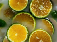MinhTruong