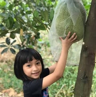 Thanh Le