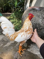 Quý Em