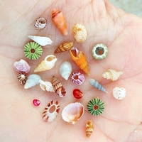 Nguyễn Thị Lan Anh