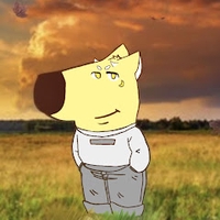 Konyl Cat