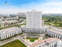 Trần Thị Như Thảo
