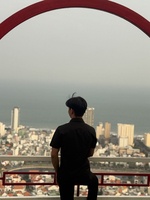 Kim Mai Liên 