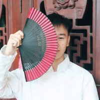Hieu Vu