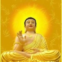 Tâm Trần