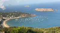 Bảo