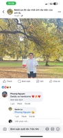 Trần Ngọc Như Ý