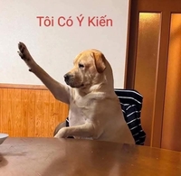 yêu môi trường xanh cuộc sống nhân lành