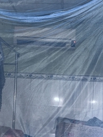 Nguyễn Đình Thiện