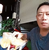 Tai Nghiem