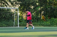 Sơn Trần Vũ