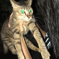 Bùi Đức Hùng