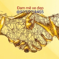 Ôtô Thảo Trầm Brvt HCM