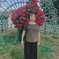 Lệ Bảy