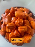 Mai Hân