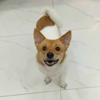 Phong Lương Quốc