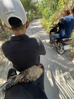 Ng Khôii