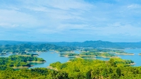 Tạ Dũng