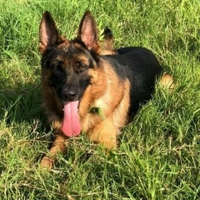 Thuý Gsd