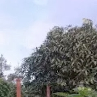 Hồ Ngọc Hùng