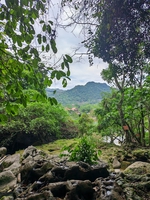 Dao Van Cuong