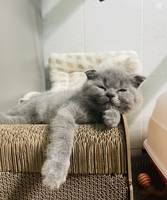 Bùi Thị Kiều My