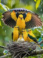 Trần Kiên Trung CĐN