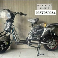 Xe Điện Duy Thành