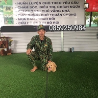 Trần Văn lưu