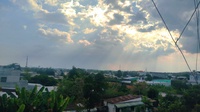 Nhật Trường