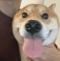 Duy Di Di