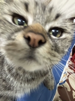 Nguyễn Trung Đức