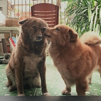Lê Công Khôi