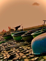 VỰA HẢI SẢN TƯƠI