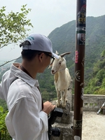 Mai Tôn Tiến