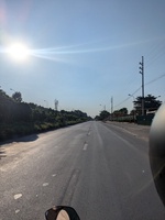 ngohieu