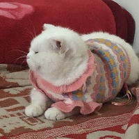 Thắng kent Phạm
