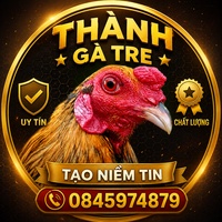Thành gà tre