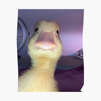 Huy Đìnhh