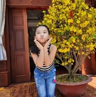 Van Vo