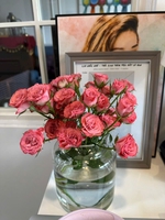 Nguyễn Xuân Hương