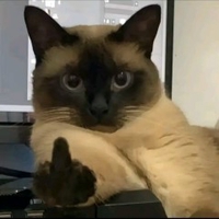 Trà My